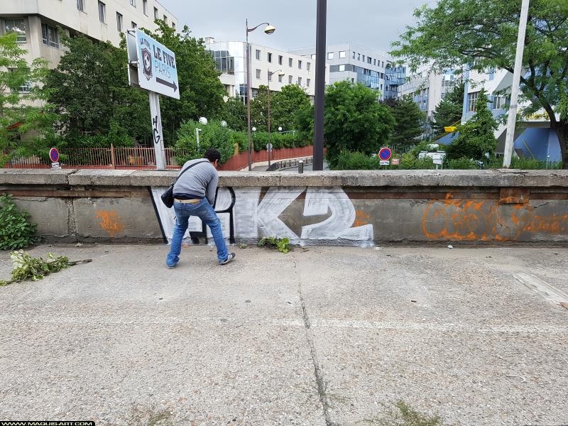 Graffiti de 2feak à L'Aérosol Paris (13 juillet 2017)