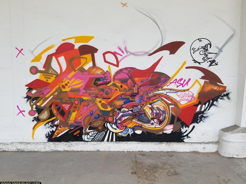 Graffiti de Jowel à L'Aérosol Paris (15 juillet 2017)