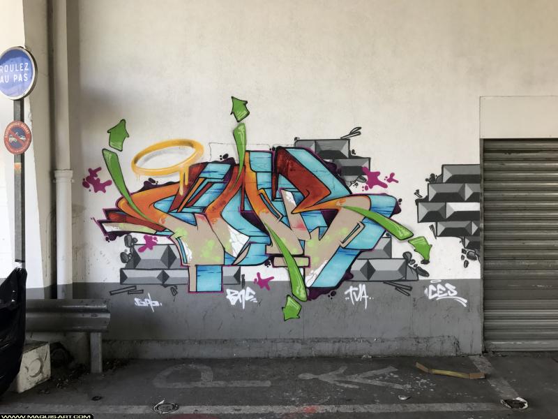 Graffiti de Gabone à L'Aérosol Paris (12 juillet 2017)