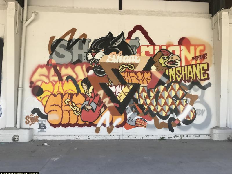 Graffiti de Shane à L'Aérosol Paris (15 juillet 2017)