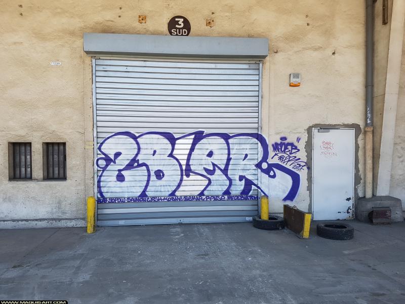 Zbler - Artiste Graffiti au Wall of Fame L'Aérosol