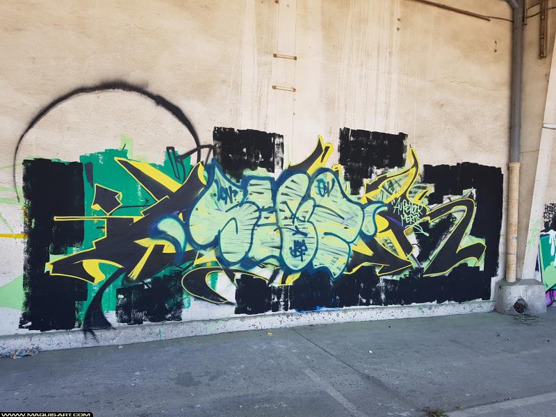 Seyze - Artiste Graffiti au Wall of Fame L'Aérosol