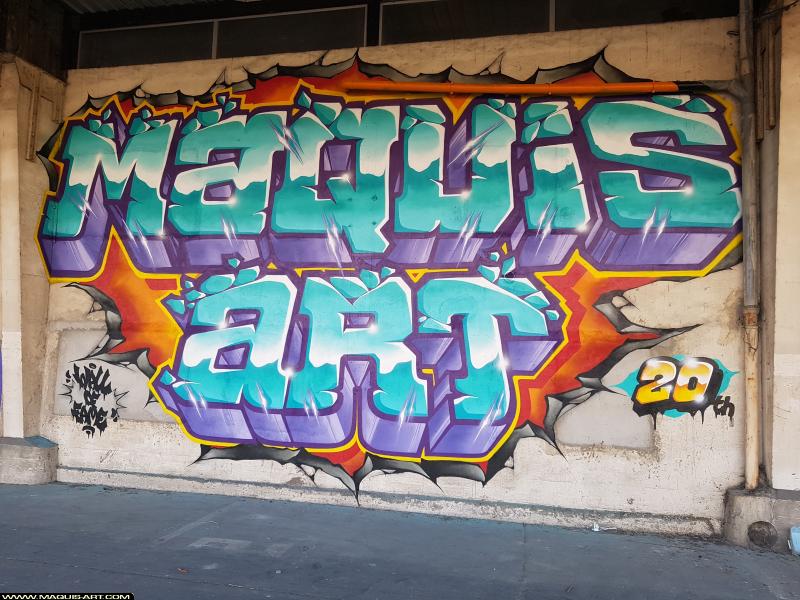 Graffiti de Soze et Elas à L'Aérosol Paris (18 juillet 2017)