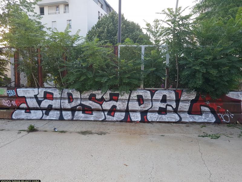 Graffiti d'Apel et Japs à L'Aérosol Paris (18 juillet 2017)