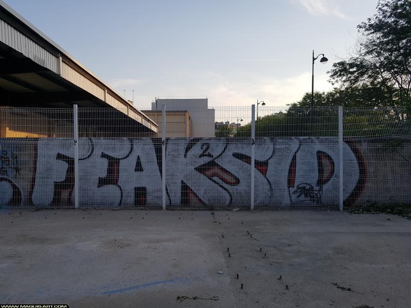 Graffiti de Sidne et 2feak à L'Aérosol Paris (18 juillet 2017)
