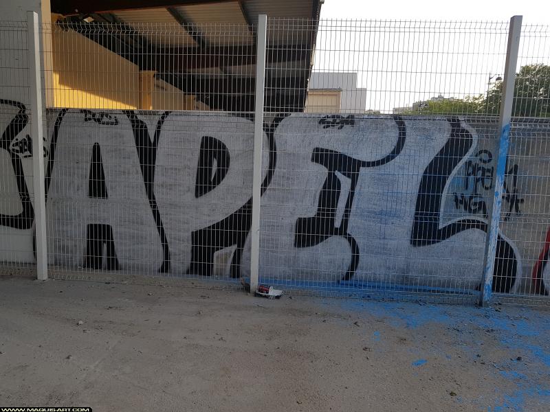 Graffiti d'Apel à L'Aérosol Paris (18 juillet 2017)