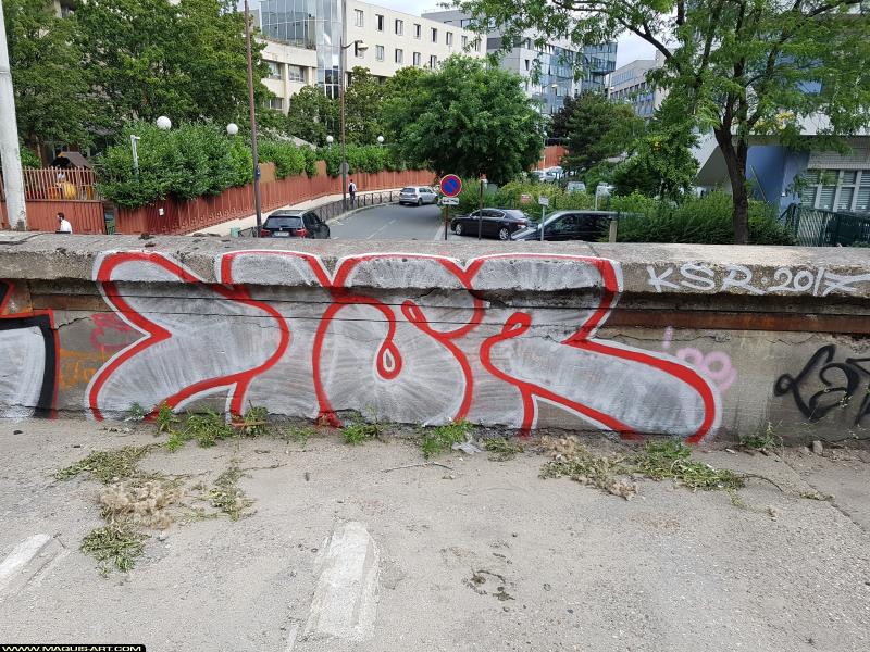 Graffiti de Ksr à L'Aérosol Paris (19 juillet 2017)