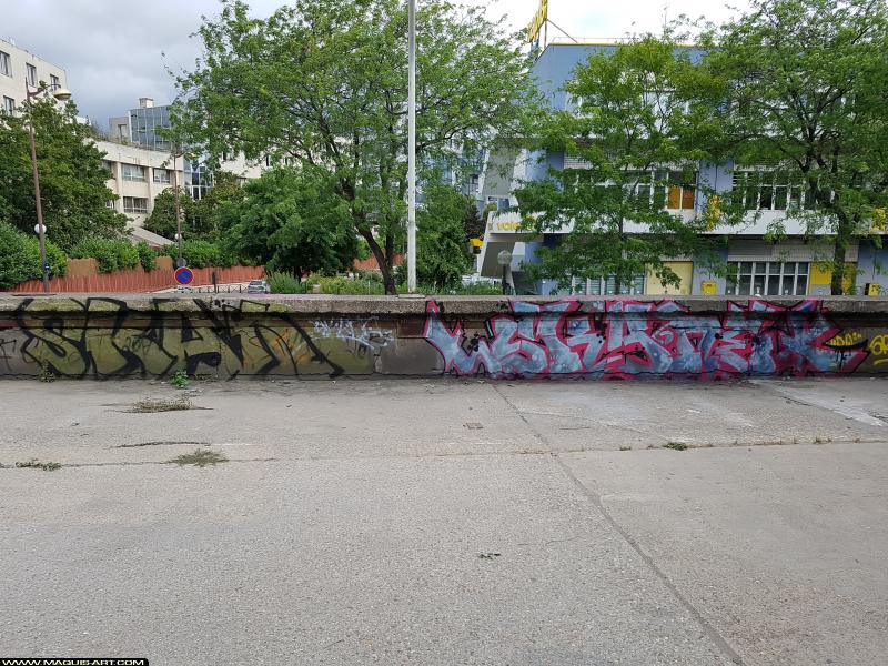 Graffiti de Skan à L'Aérosol Paris (19 juillet 2017)