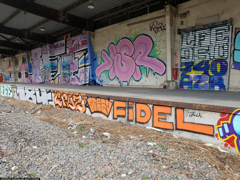 Graffiti de Ndek, Cruz, Ksr et Fidel à L'Aérosol Paris (19 juillet 2017)