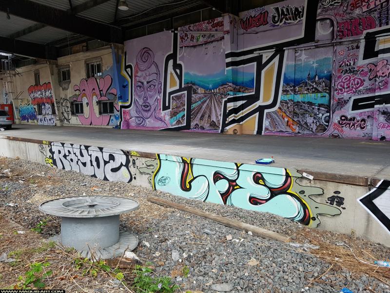 Rayoz - Artiste Graffiti au Wall of Fame L'Aérosol