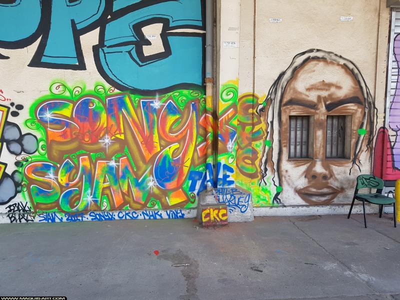 Graffiti de Syam et Sonyx à L'Aérosol Paris (20 juillet 2017)