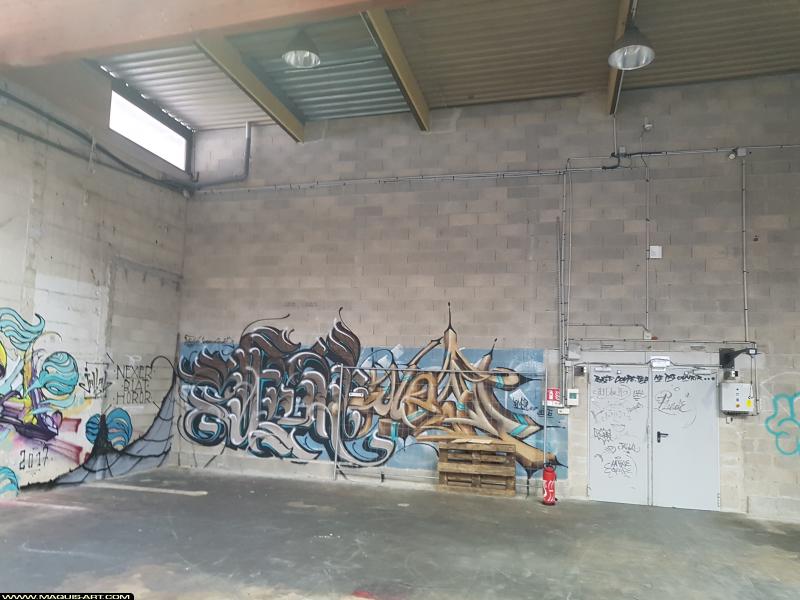 Jem - Artiste Graffiti au Wall of Fame L'Aérosol