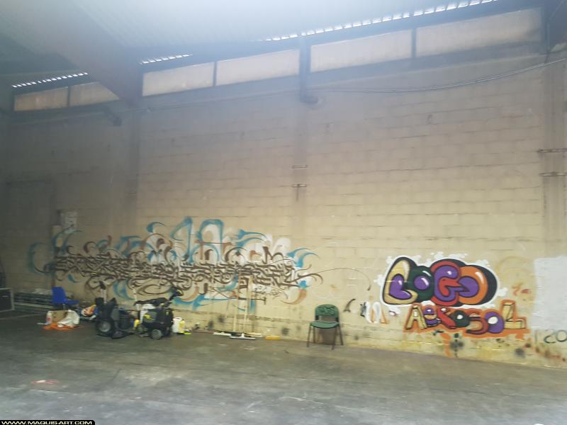 Graffiti de Fluide et Lobo à L'Aérosol Paris (24 juillet 2017)