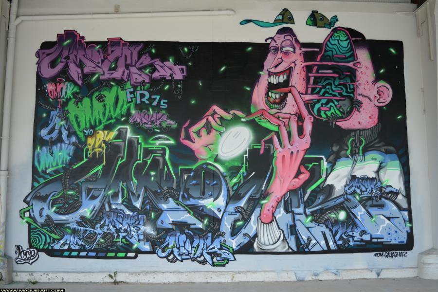 Graffiti d'Omouk à L'Aérosol Paris (27 juillet 2017)
