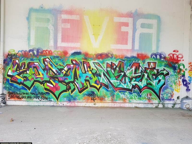 Graffiti de Sopoh et Nesi à L'Aérosol Paris (30 juillet 2017)