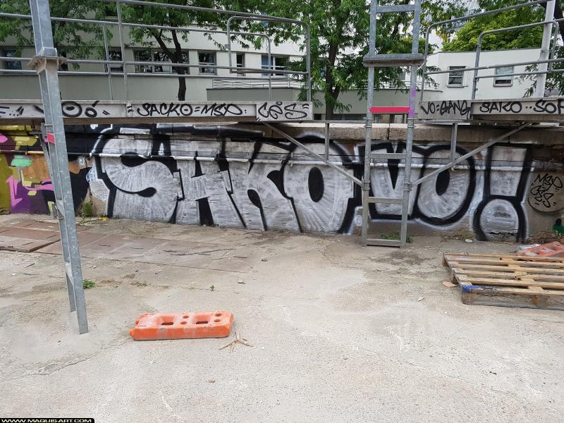 Graffiti de Sako (msp) à L'Aérosol Paris (30 juillet 2017)