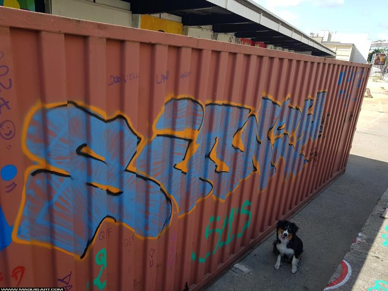 Graffiti de Sidne à L'Aérosol Paris (3 août 2017)