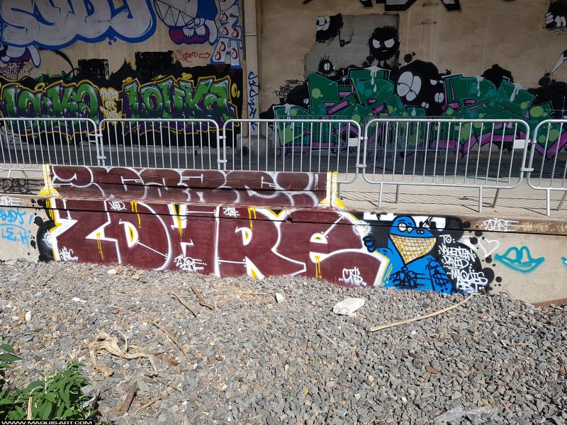 Graffiti de Zdare à L'Aérosol Paris (3 août 2017)