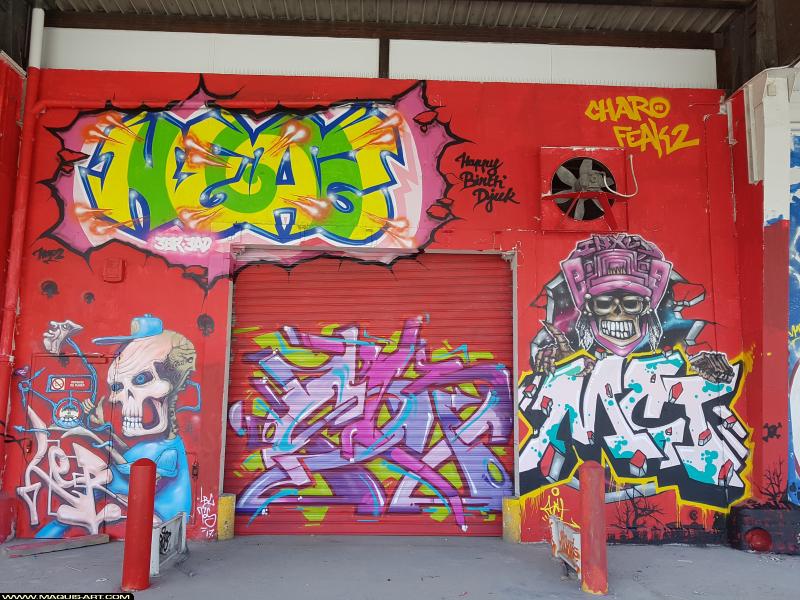 Skey - Artiste Graffiti au Wall of Fame L'Aérosol