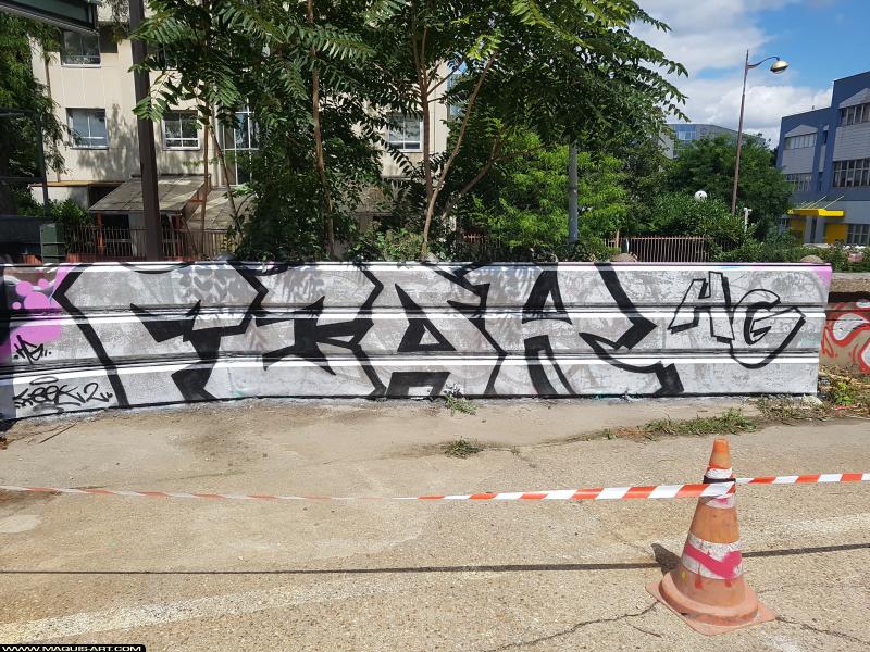 Graffiti de 2feak à L'Aérosol Paris (5 août 2017)