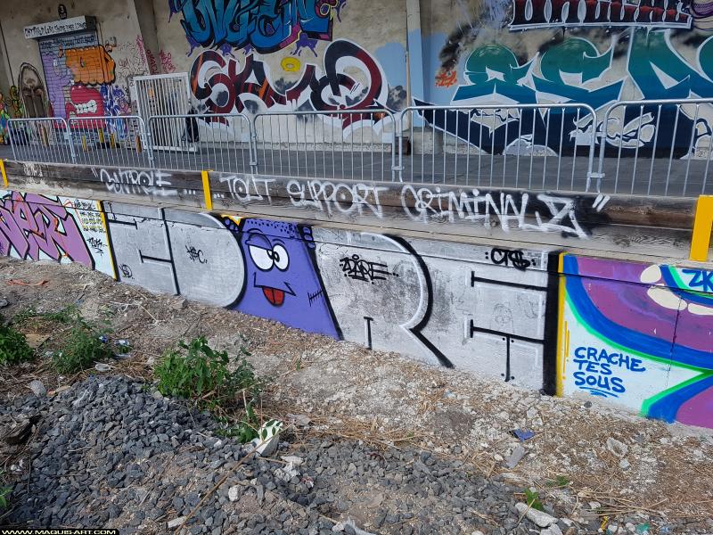 Graffiti de Zdare à L'Aérosol Paris (5 août 2017)