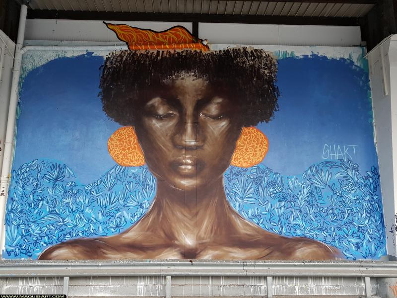 Graffiti de Shakte à L'Aérosol Paris (7 août 2017)