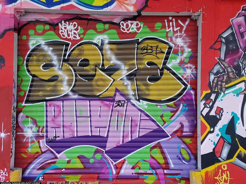 Alia - Artiste Graffiti au Wall of Fame L'Aérosol