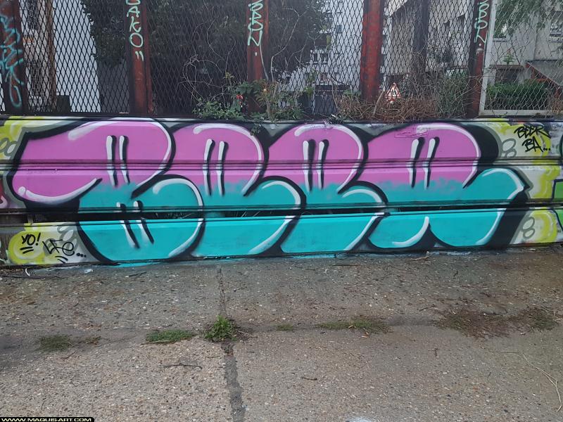 Graffiti de Beer à L'Aérosol Paris (11 août 2017)