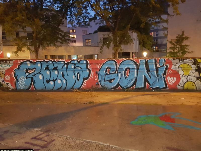 Graffiti de Reena et Goni à L'Aérosol Paris (11 août 2017)