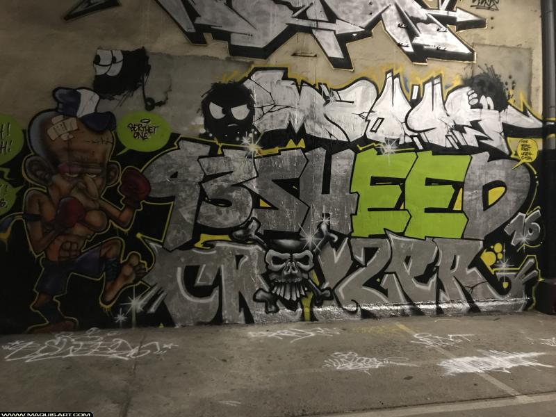 Graffiti de Sheed16, ??? et Berthet One à L'Aérosol Paris (13 août 2017)