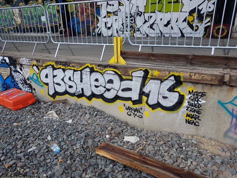 Graffiti de Sheed16 à L'Aérosol Paris (18 août 2017)