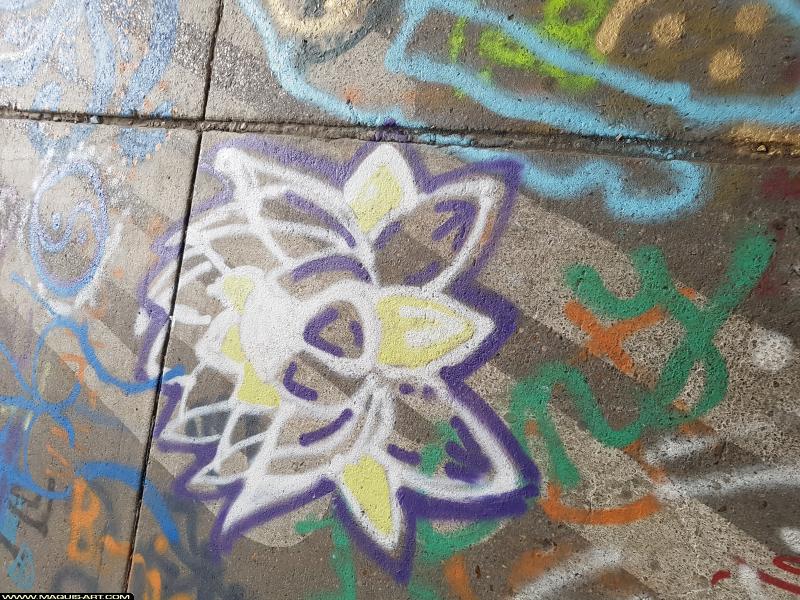 Graffiti de ??? à L'Aérosol Paris (30 août 2017)