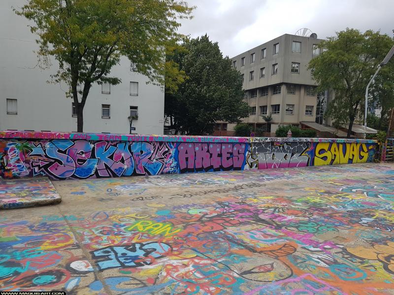 Savag - Artiste Graffiti au Wall of Fame L'Aérosol