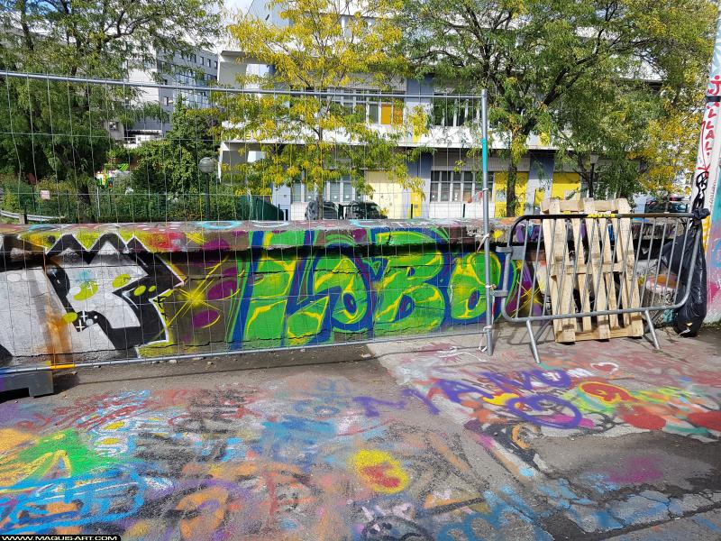 Graffiti de Ksr et Lobo à L'Aérosol Paris (15 septembre 2017)