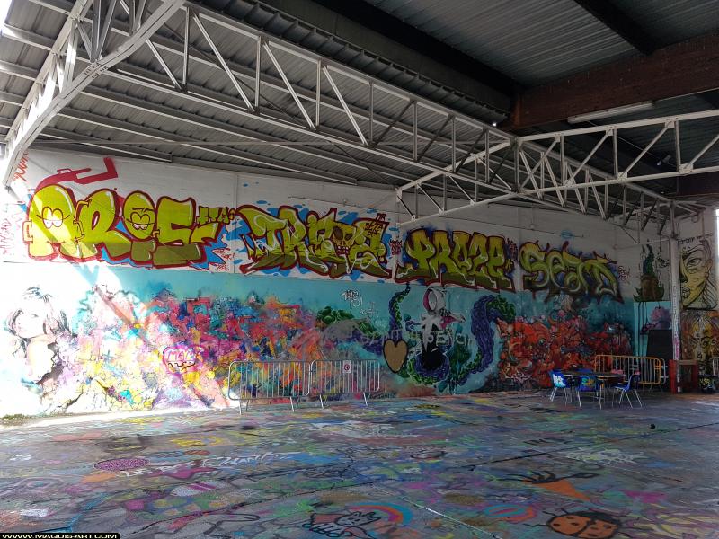 Graffiti d'Aris, Treize, Proze (3er Lfe) et Sead à L'Aérosol Paris (15 septembre 2017)