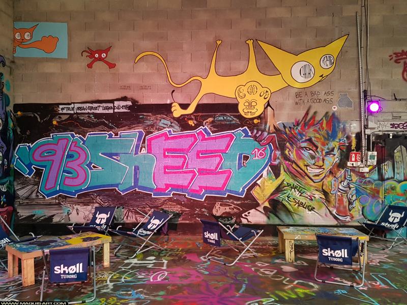 Graffiti de Sheed16 et ??? à L'Aérosol Paris (15 septembre 2017)