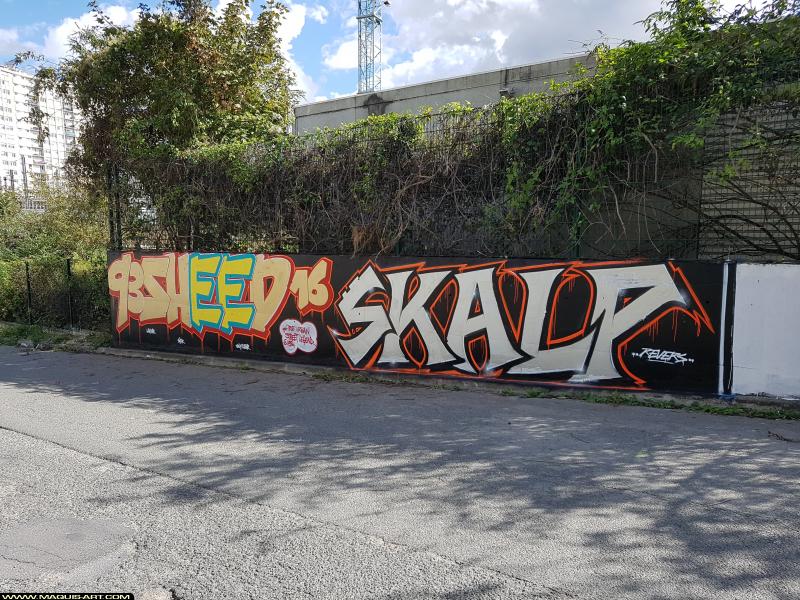 Graffiti de Sheed16 et Skalp à L'Aérosol Paris (15 septembre 2017)