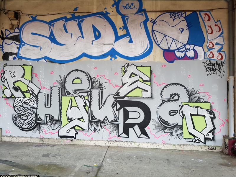 Rien - Artiste Graffiti au Wall of Fame L'Aérosol