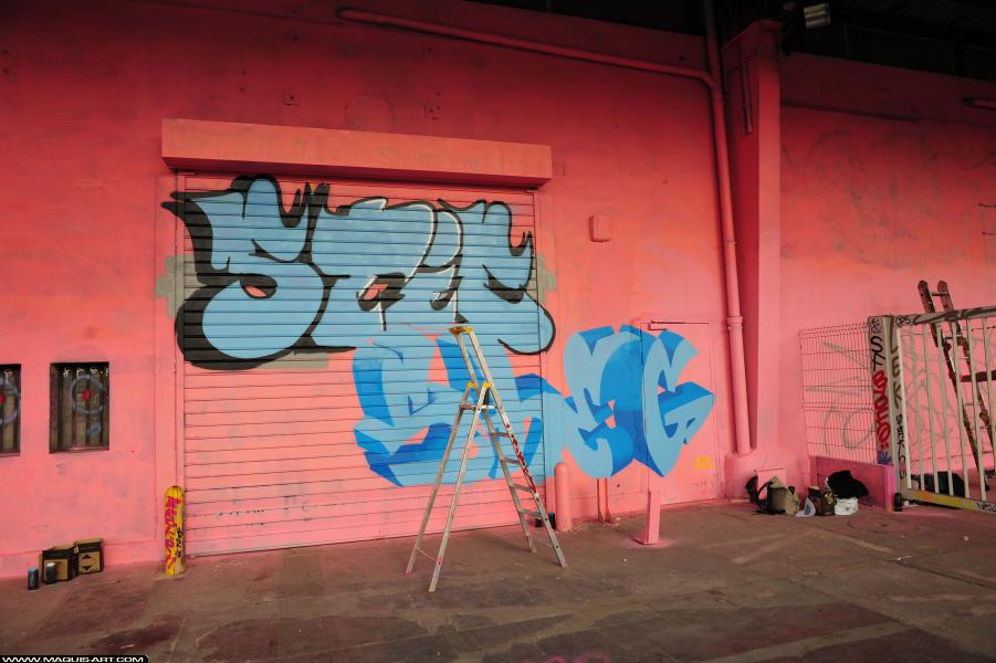 Graffiti de Stic et Sheg à L'Aérosol Paris (30 septembre 2017)