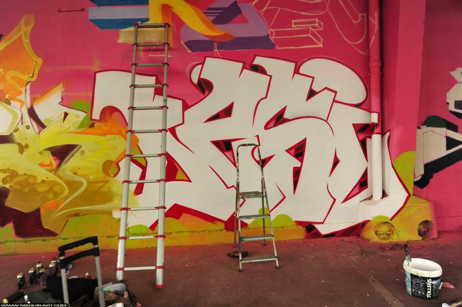 Graffiti de Desi à L'Aérosol Paris (30 septembre 2017)