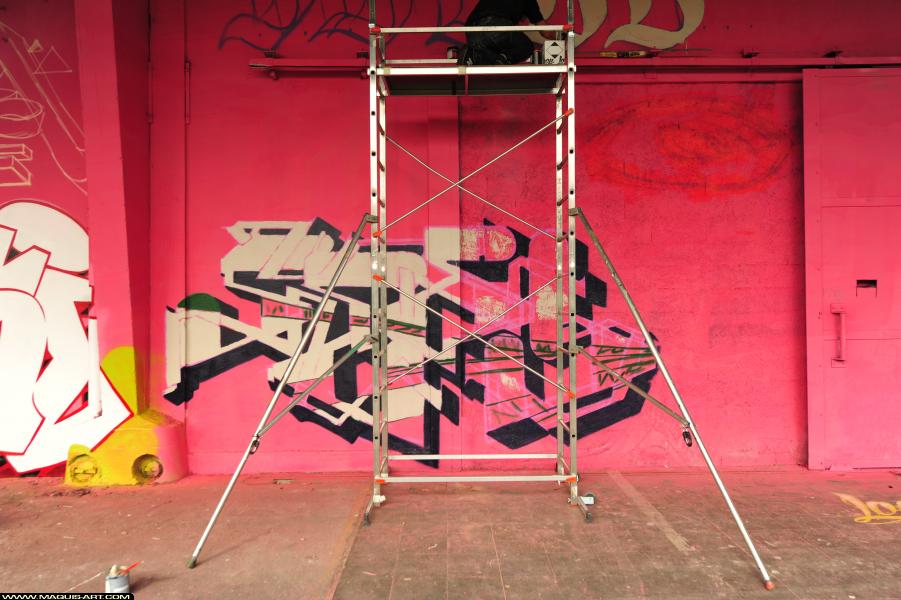 Graffiti de Geode à L'Aérosol Paris (30 septembre 2017)