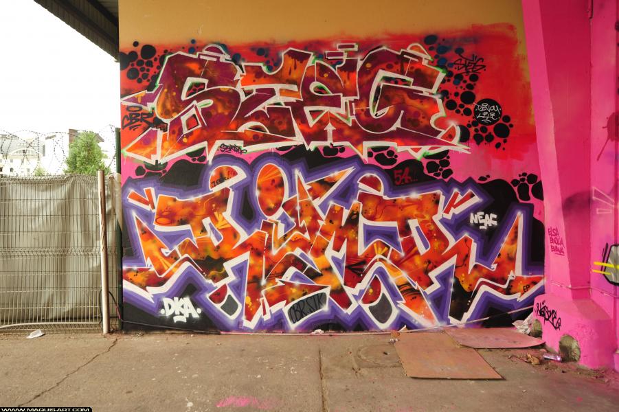 Graffiti de Rimr à L'Aérosol Paris (1 octobre 2017)