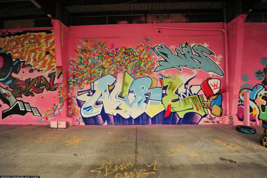 Wuze - Artiste Graffiti au Wall of Fame L'Aérosol