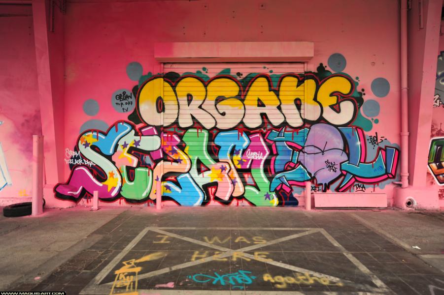 Organ - Artiste Graffiti au Wall of Fame L'Aérosol