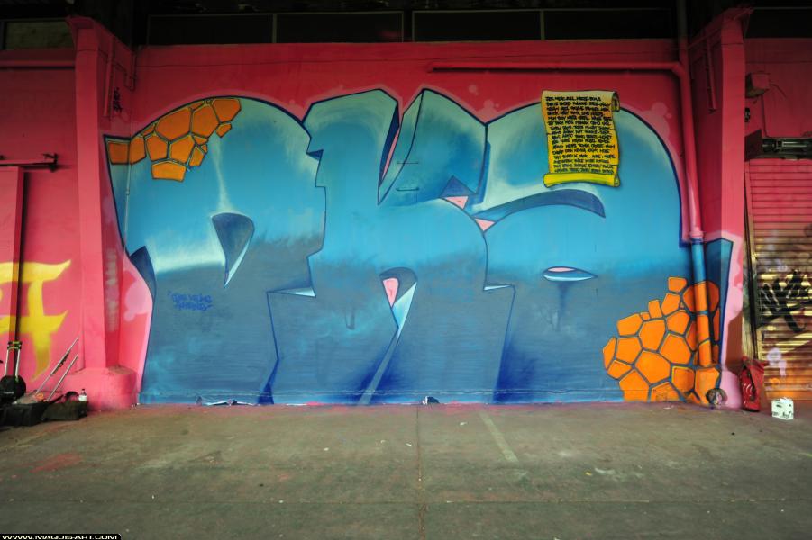 Graffiti de Skofe à L'Aérosol Paris (1 octobre 2017)