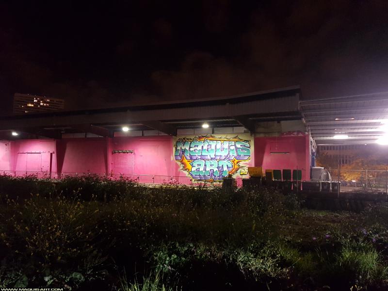 Graffiti à L'Aérosol Paris (29 septembre 2017)