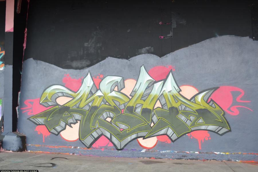 Graffiti de Meha à L'Aérosol Paris (11 novembre 2017)