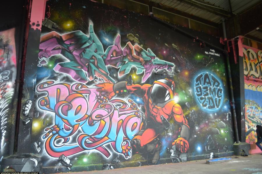 Nel - Artiste Graffiti au Wall of Fame L'Aérosol