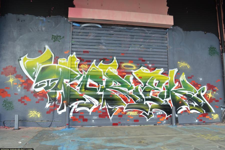 Graffiti de Torek à L'Aérosol Paris (19 novembre 2017)