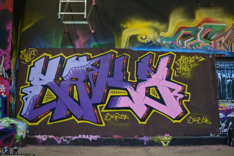 Graffiti de Sake à L'Aérosol Paris (25 novembre 2017)